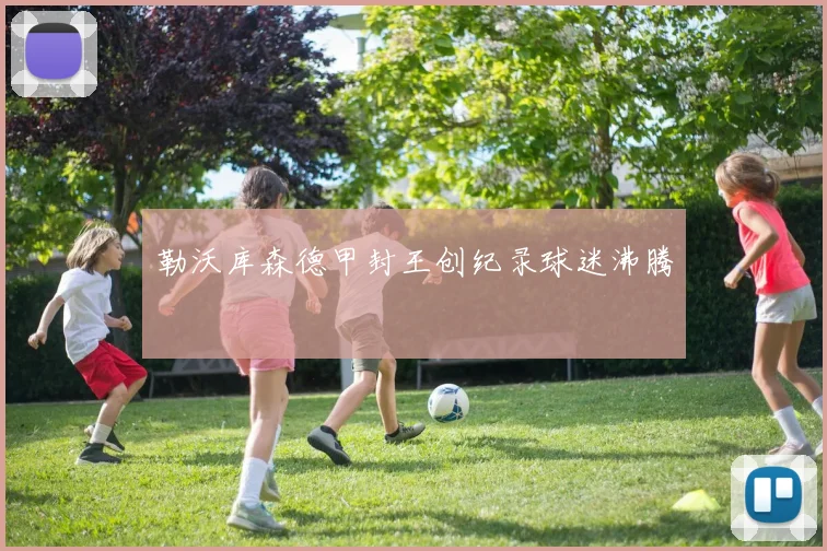 勒沃库森德甲封王创纪录球迷沸腾