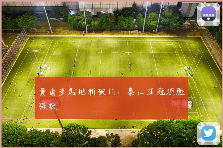 费南多贴地斩破门，泰山亚冠连胜强敌