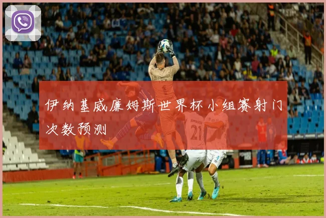 伊纳基威廉姆斯世界杯小组赛射门次数预测