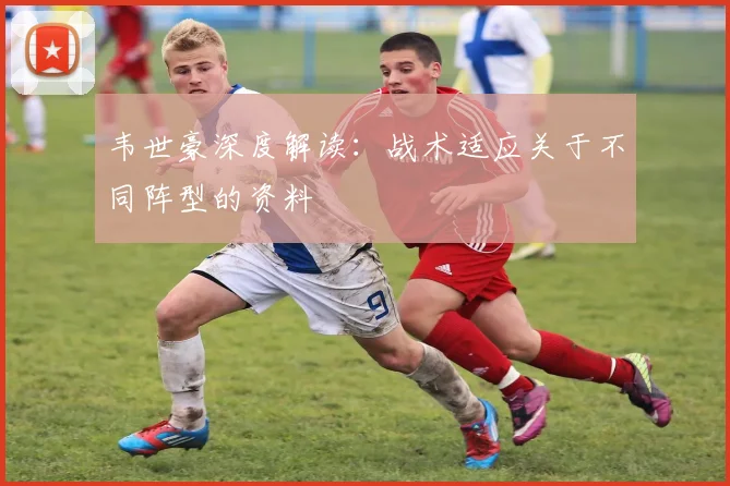 韦世豪深度解读：战术适应关于不同阵型的资料