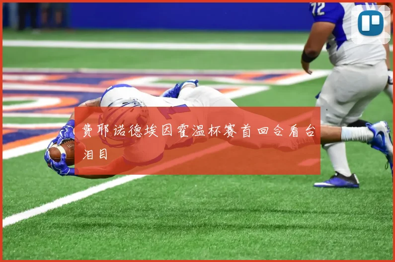 费耶诺德埃因霍温杯赛首回合看台泪目