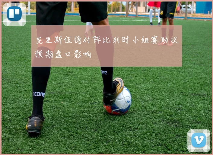 克里斯伍德对阵比利时小组赛助攻预期盘口影响